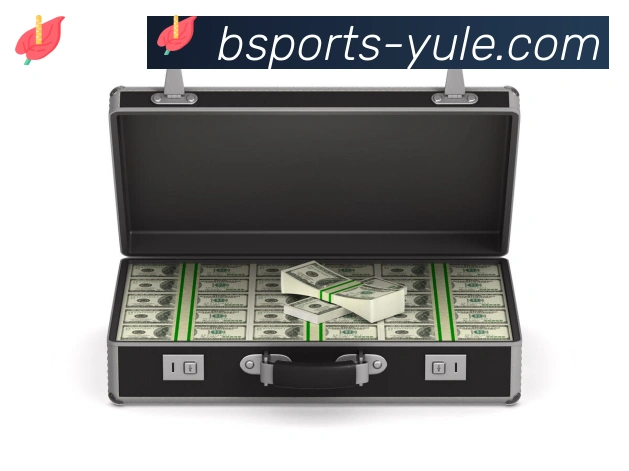 Bsports官网荣誉
