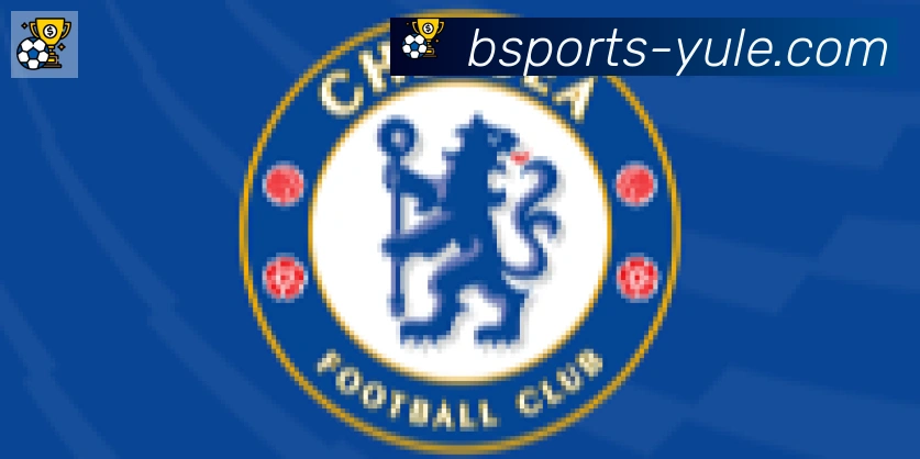 Bsports官网合作伙伴