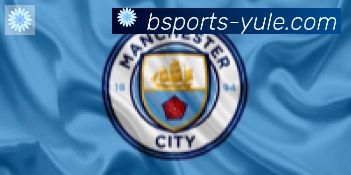 Bsports官网合作伙伴